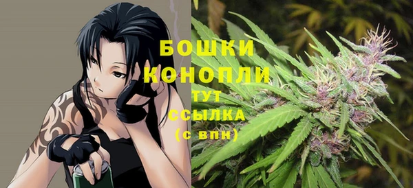 амф Липки