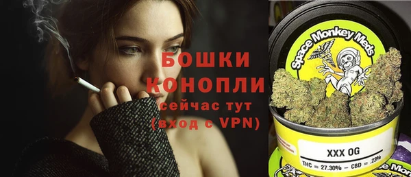 МДПВ Лиски