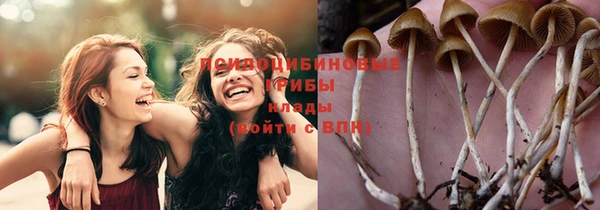 бошки Алзамай