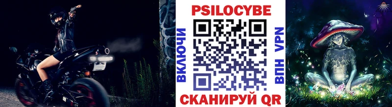 Псилоцибиновые грибы Psilocybine cubensis  Алапаевск 